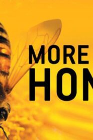 فيلم More Than Honey 2012 مترجم كامل HD اونلاين