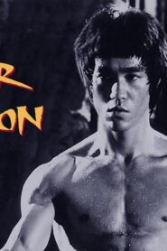 فيلم Enter the Dragon 1973 مترجم كامل HD اونلاين