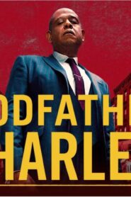 مسلسل Godfather of Harlem الموسم الاول الحلقة 1 الاولي مترجمة اونلاين