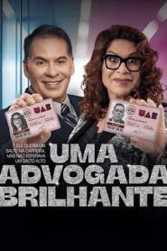 فيلم A Bright Lawyer 2025 مترجم كامل HD اونلاين
