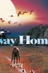 فيلم Fly Away Home 1996 مترجم كامل HD اونلاين