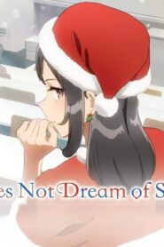 انمي Seishun Buta Yarou wa Santa Claus no Yume wo Minai الحلقة 8 الثامنة مترجمة اونلاين