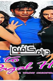 فيلم Dil To Pagal Hai 1997 مترجم كامل HD اونلاين