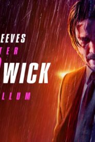 فيلم John Wick: Chapter 3 – Parabellum 2019 مترجم كامل HD اونلاين
