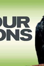 فيلم Four Lions 2010 مترجم كامل HD اونلاين