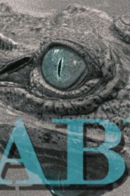 فيلم Tabu 2012 مترجم كامل HD اونلاين