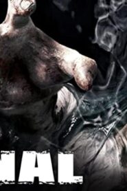 فيلم The Canal 2014 مترجم كامل HD اونلاين
