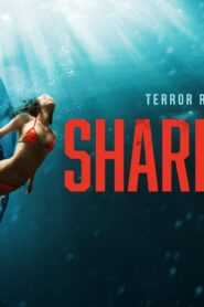 فيلم Shark Bait 2022 مترجم كامل HD اونلاين