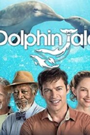 فيلم Dolphin Tale 2 2014 مترجم كامل HD اونلاين