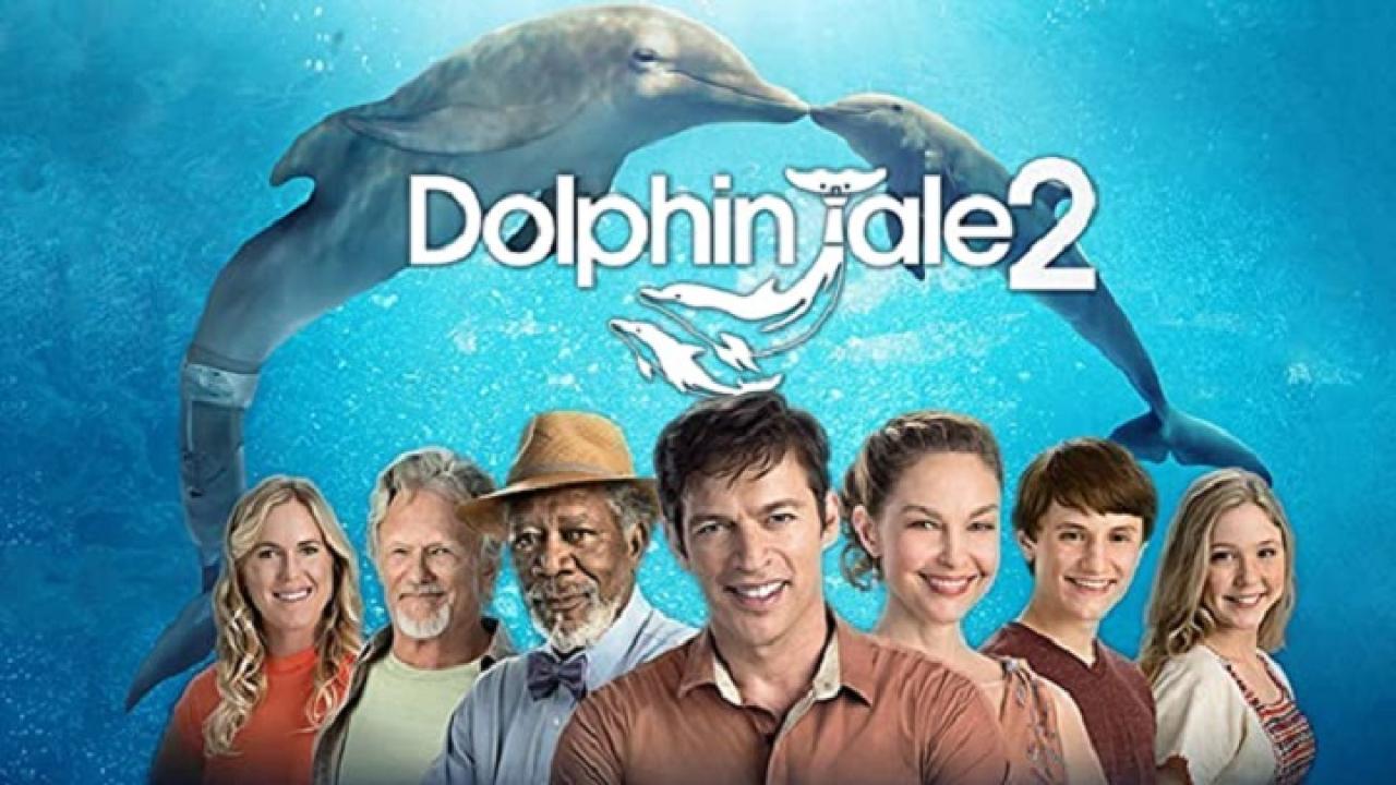 فيلم Dolphin Tale 2 2014 مترجم كامل HD اونلاين