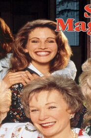 فيلم Steel Magnolias 1989 مترجم كامل HD اونلاين