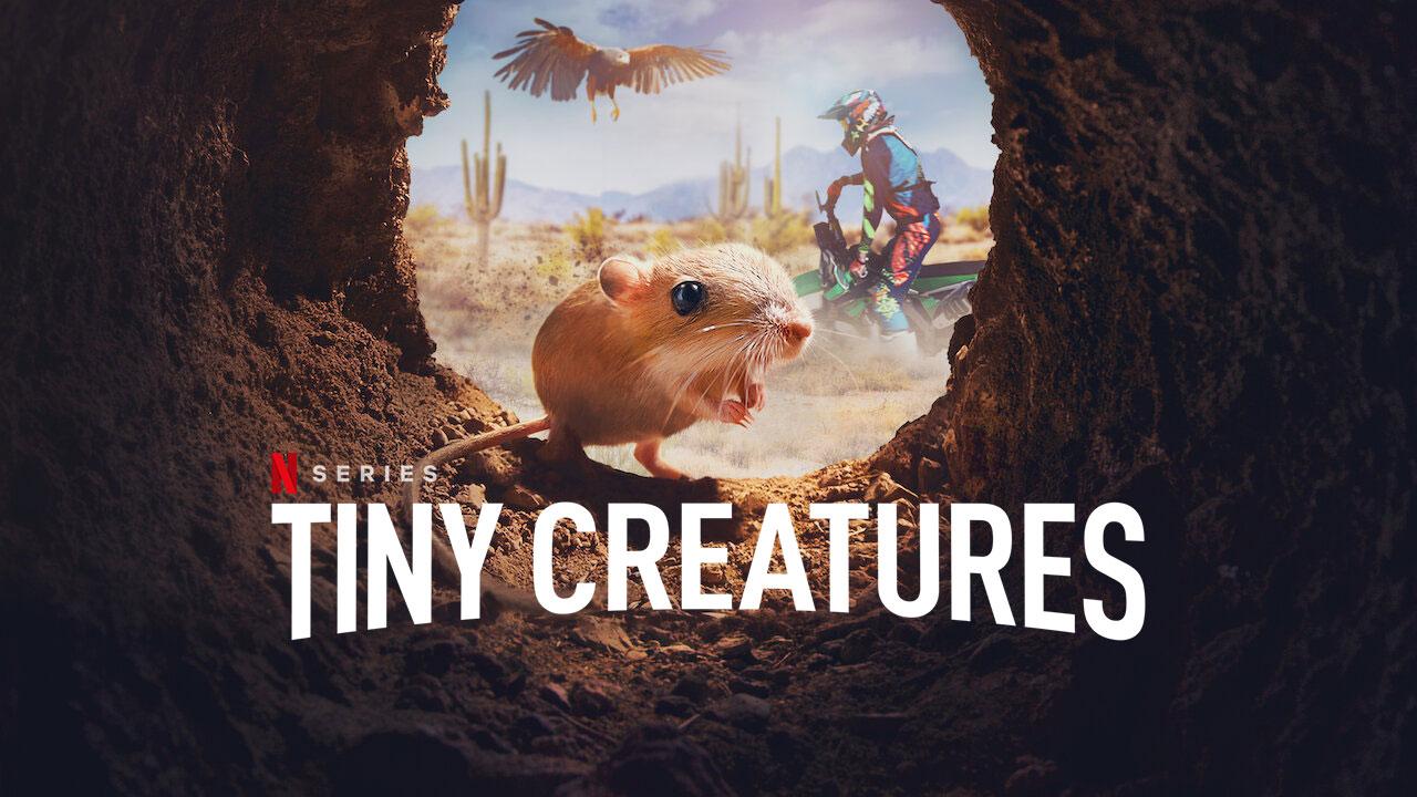 مسلسل Tiny Creatures الموسم الاول الحلقة 1 الاولي مترجمة اونلاين