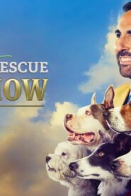 فيلم American Rescue Dog Show 2022 مترجم كامل HD اونلاين