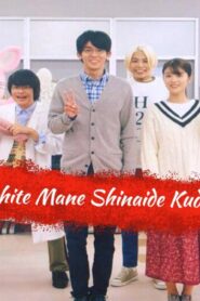 مسلسل Keshite Mane Shinaide Kudasai الحلقة 6 السادسة مترجمة اونلاين