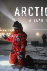 فيلم Antarctica: A Year on Ice 2013 مترجم كامل HD اونلاين