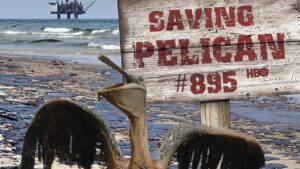 فيلم Saving Pelican 895 2011 مترجم كامل HD اونلاين