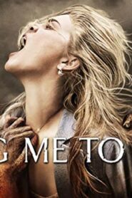 فيلم Drag Me To Hell 2009 مترجم كامل HD اونلاين