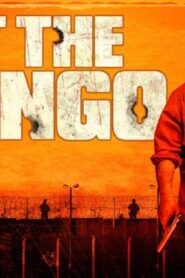 فيلم Get The Gringo 2012 مترجم كامل HD اونلاين