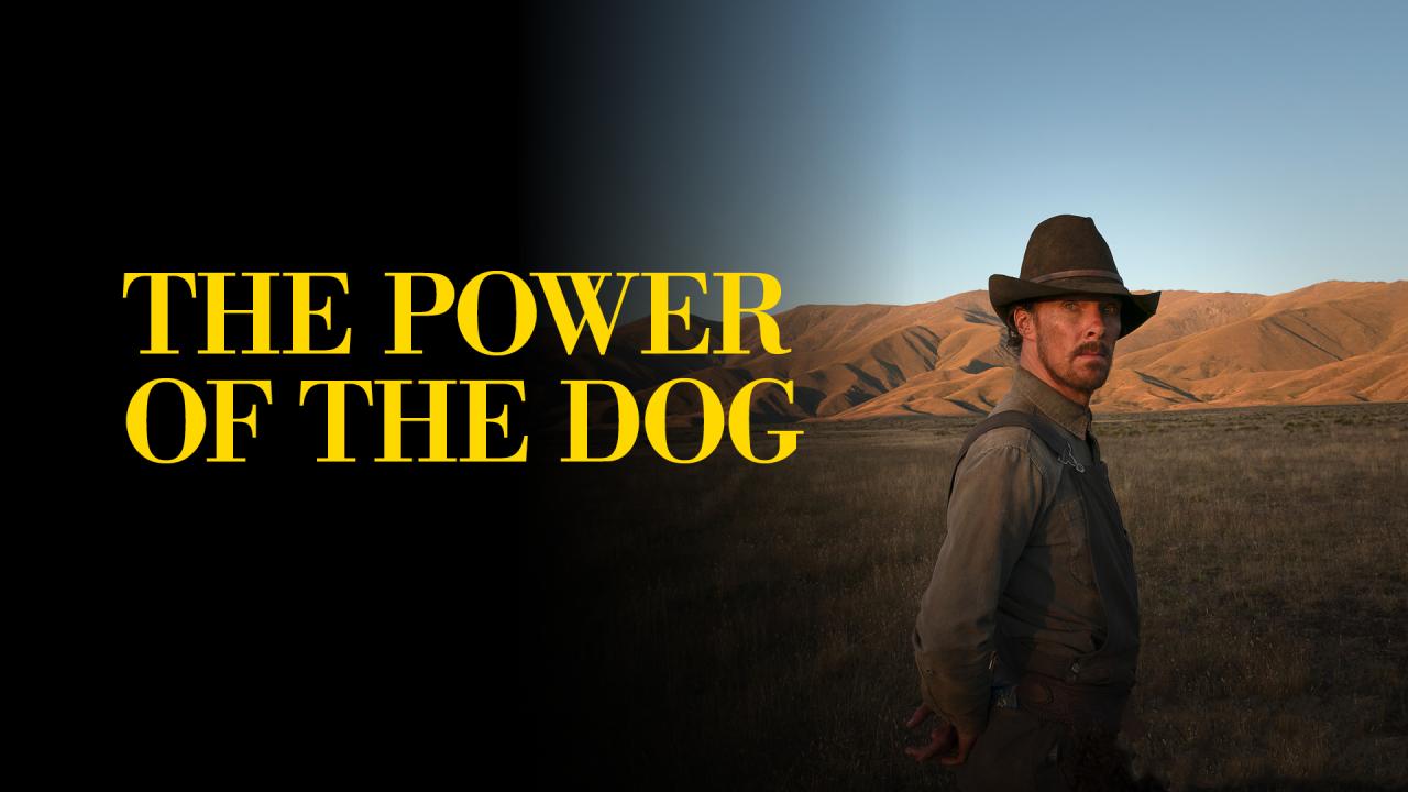 فيلم The Power Of The Dog 2021 مترجم كامل HD اونلاين