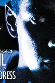 فيلم Devil In A Blue Dress 1995 مترجم كامل HD اونلاين