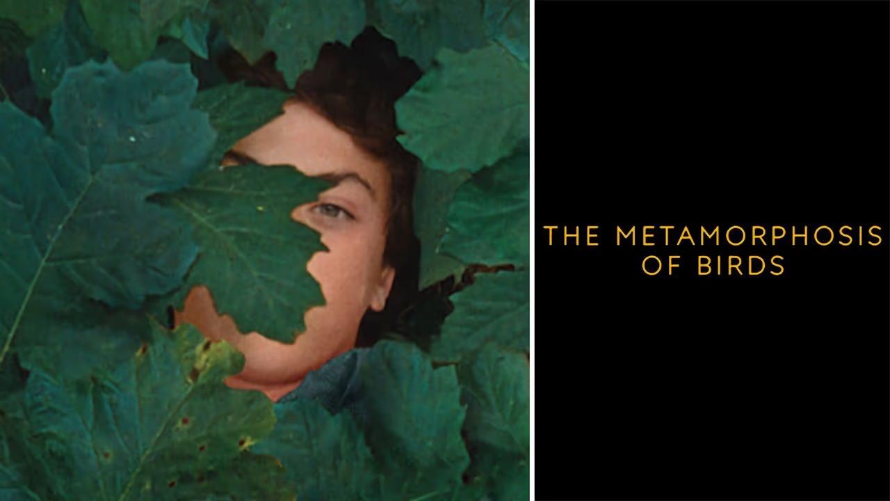 فيلم The Metamorphosis Of Birds 2020 مترجم كامل HD اونلاين
