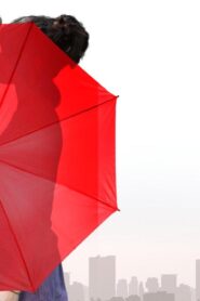 فيلم A Rainy Day in New York 2019 مترجم كامل HD اونلاين