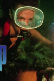 فيلم The Deep 1977 مترجم كامل HD اونلاين