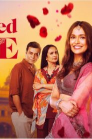 فيلم Arranged Love 2023 مترجم كامل HD اونلاين