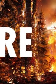فيلم Fire 2021 مترجم كامل HD اونلاين