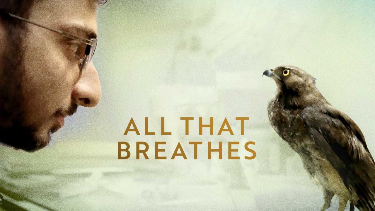 فيلم All That Breathes 2022 مترجم كامل HD اونلاين