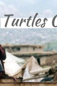 فيلم Turtles Can Fly 2004 مترجم كامل HD اونلاين