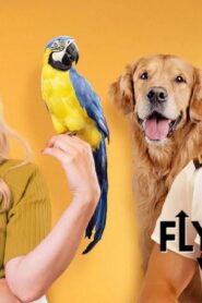فيلم Fly Away With Me 2022 مترجم كامل HD اونلاين