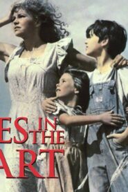 فيلم Places in the Heart 1984 مترجم كامل HD اونلاين