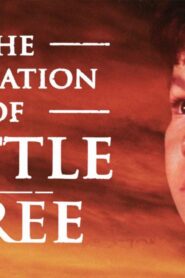 فيلم The Education of Little Tree 1997 مترجم كامل HD اونلاين