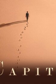 فيلم Io Capitano 2023 مترجم كامل HD اونلاين