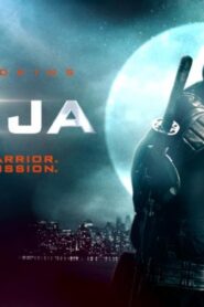 فيلم Ninja 2009 مترجم كامل HD اونلاين