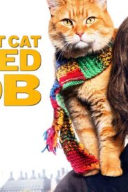 فيلم A Street Cat Named Bob 2016 مترجم كامل HD اونلاين