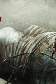 فيلم Wrong Turn 6 Last Resort 2014 مترجم كامل HD اونلاين