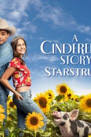 فيلم A Cinderella Story: Starstruck 2021 مترجم كامل HD اونلاين