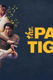 فيلم The Paper Tigers 2020 مترجم كامل HD اونلاين