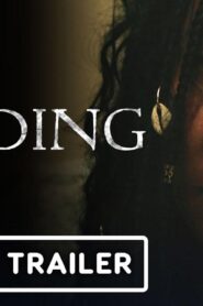 فيلم The Reading 2023 مترجم كامل HD اونلاين