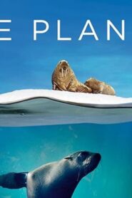 مسلسل Blue Planet II الموسم الاول الحلقة 6 السادسة مترجمة اونلاين