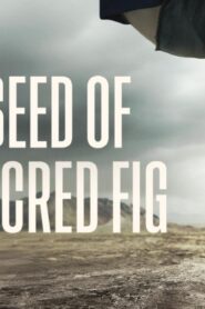 فيلم The Seed of the Sacred Fig 2024 مترجم كامل HD اونلاين
