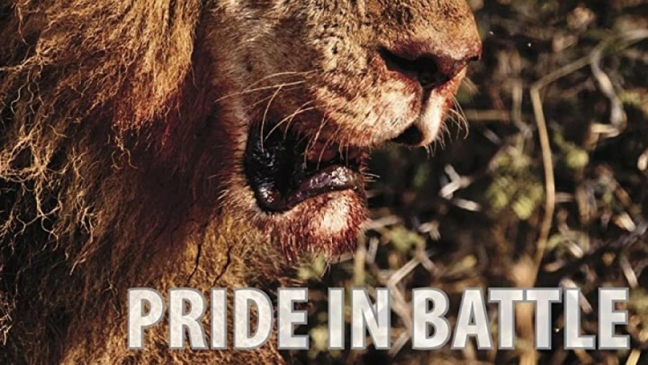 فيلم Pride in Battle 2010 مترجم كامل HD اونلاين