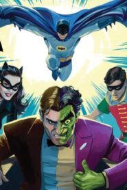 فيلم Batman vs Two-Face 2017 مترجم كامل HD اونلاين