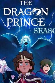 انمي The Dragon Prince الموسم الرابع الحلقة 5 الخامسة مترجمة اونلاين