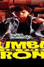 فيلم Rumble in the Bronx 1995 مترجم كامل HD اونلاين