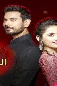 مسلسل الحب المنتظر الحلقة 28 الثامنة والعشرون مدبلجة اونلاين