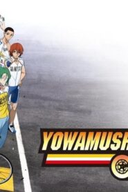 انمي Yowamushi Pedal الموسم الثاني الحلقة 1 الاولي مترجمة اونلاين