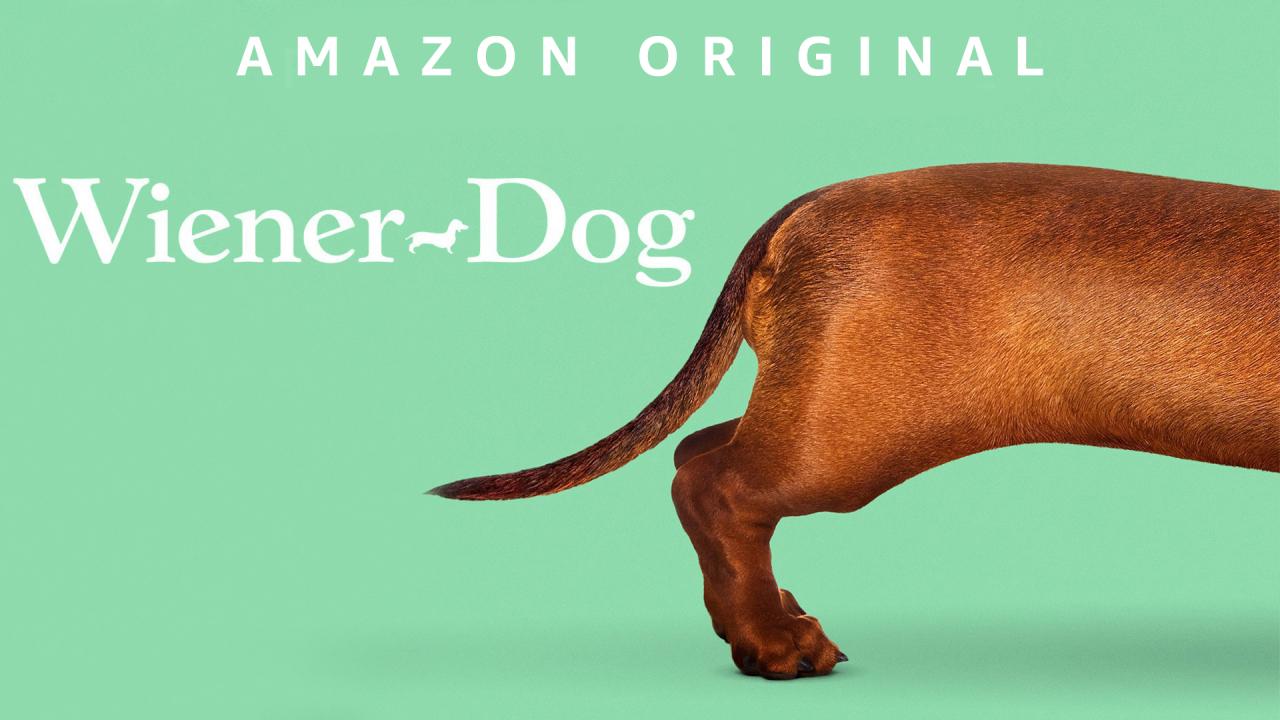 فيلم Wiener-Dog 2016 مترجم كامل HD اونلاين